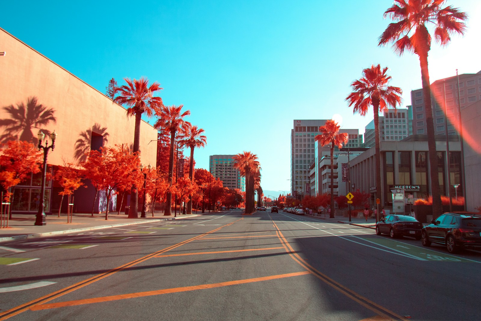 Top 10 Best Restaurants in San Jose, USA You Absolutely Have to Experience (Ranked in Reverse Order)
